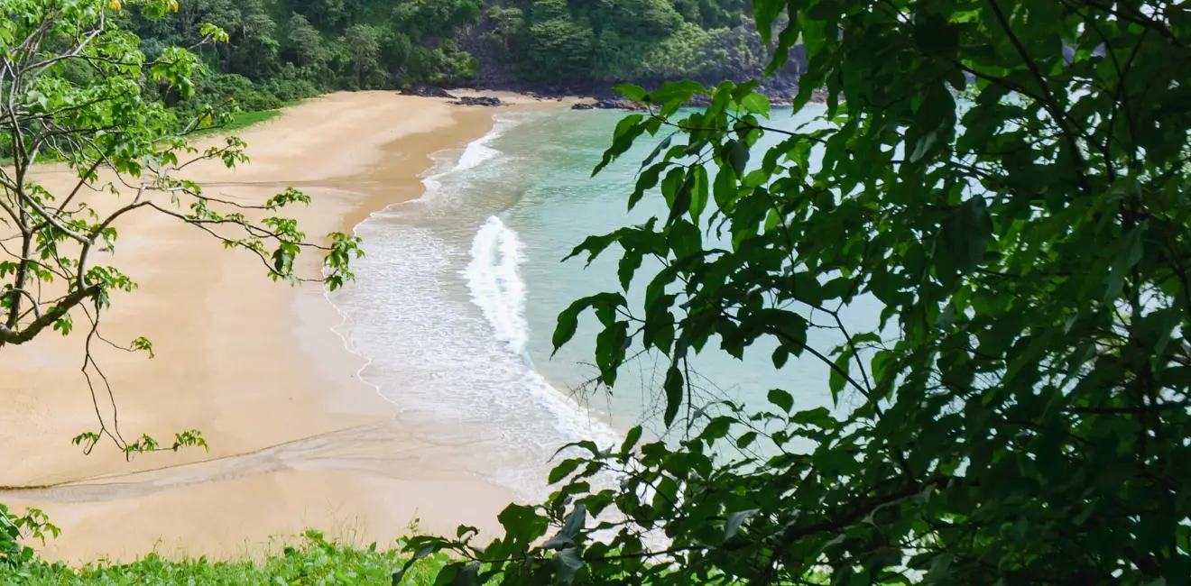 Goa