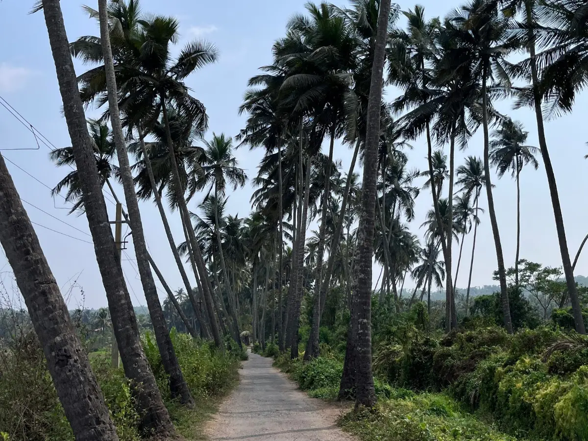 Goa