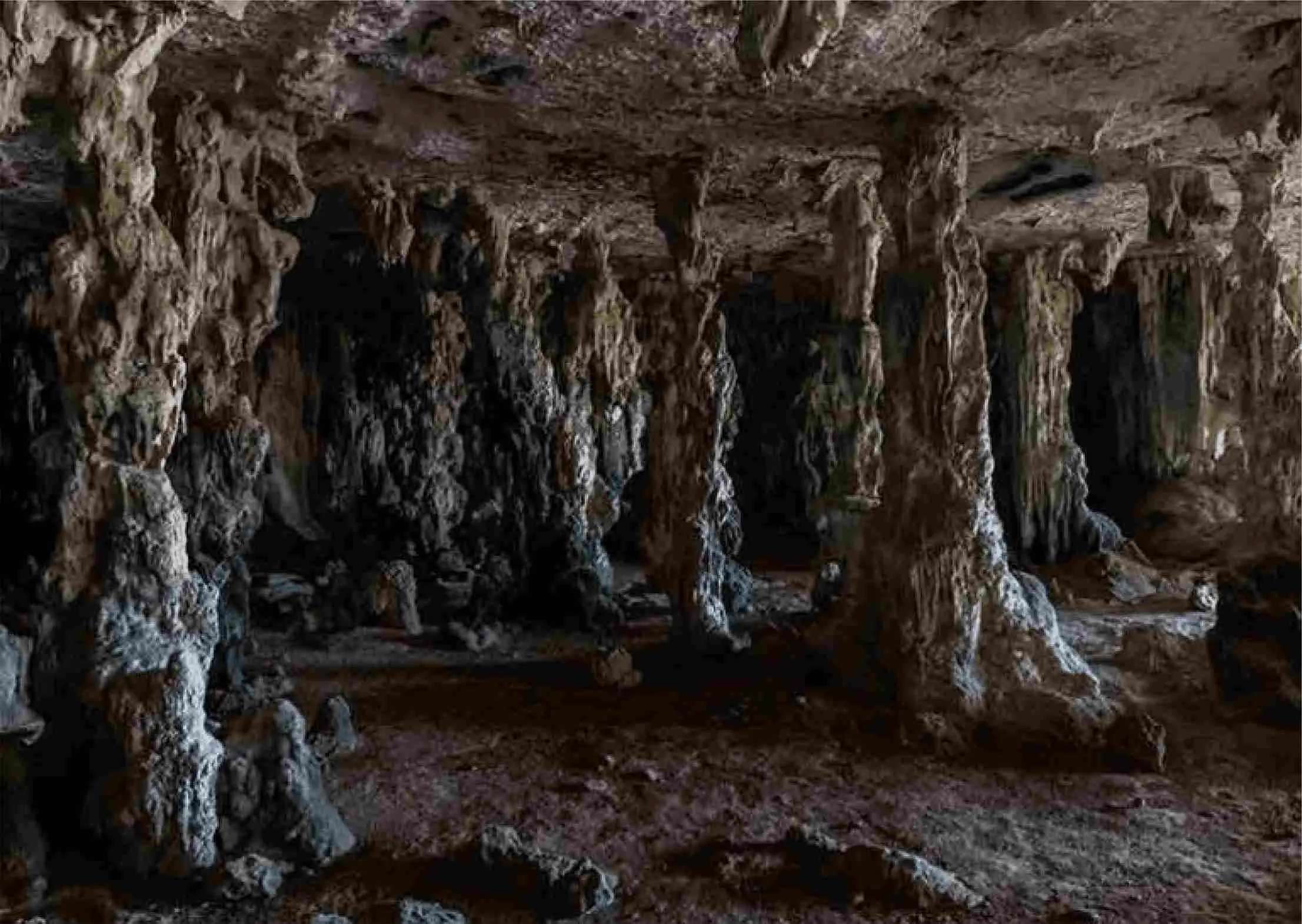 Tag 6 Baratang: Kalksteinhöhlen und Schlammvulkan