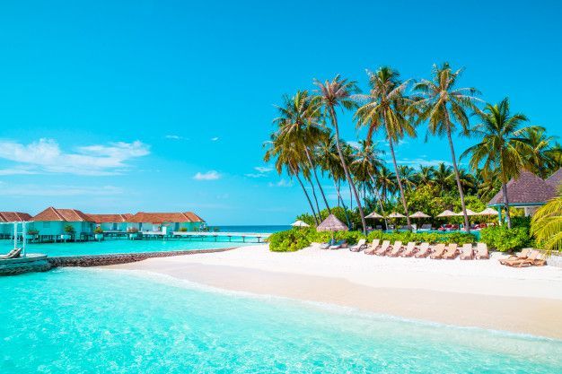 Maldives Blissful – 7 Days with Whale Sharks, Manta Rays & South Ari Atoll