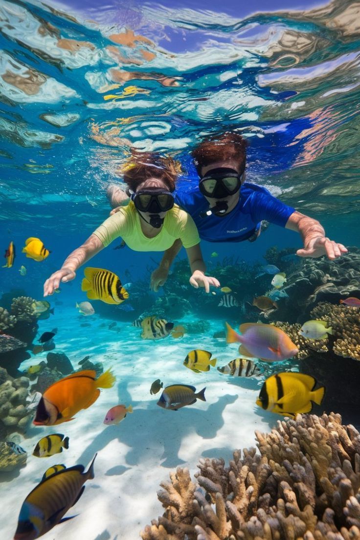 Day 2 Reef Adventure in Omadhoo