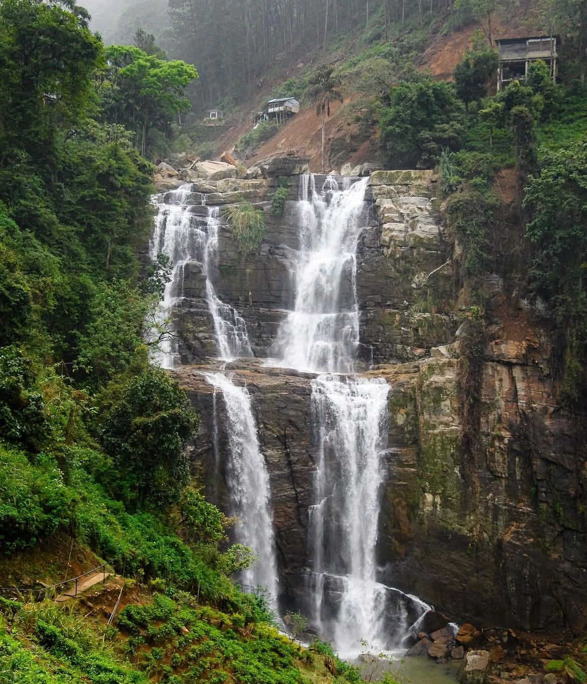 Day 4 Kandy – Nuwara Eliya