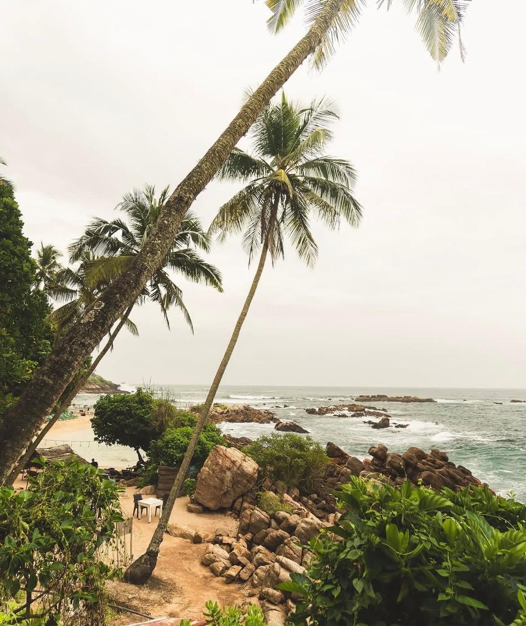 Enchanting Sri Lanka — 7 Days of Island Wonders