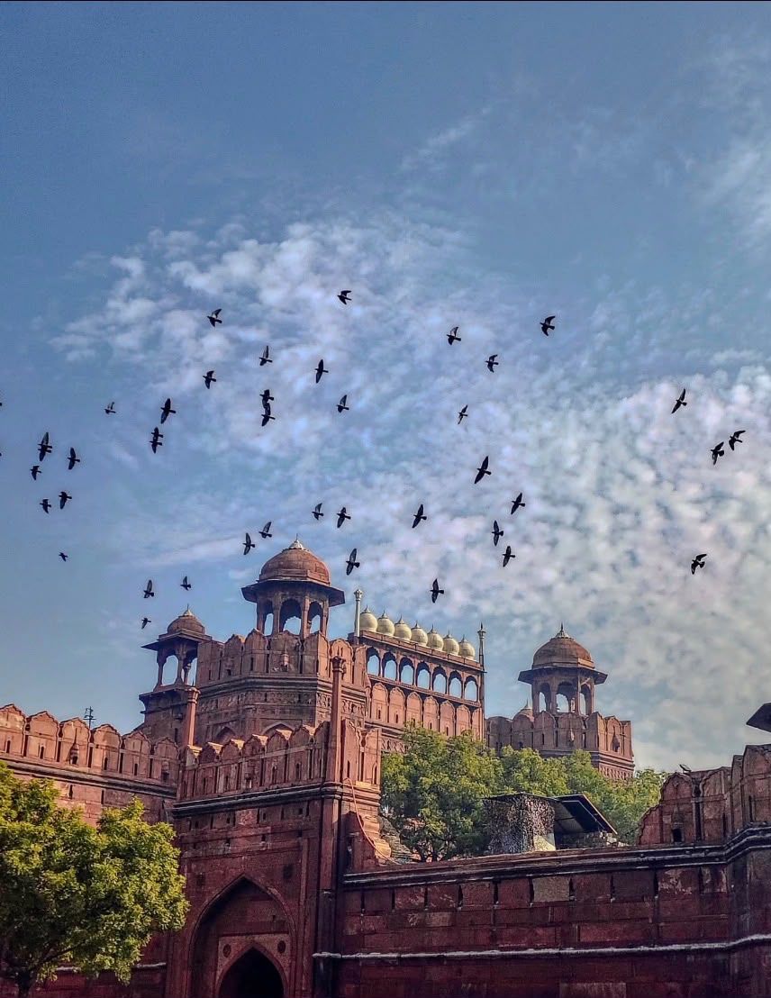 Golden Triangle Escape – 5 Days of India's Heritage & Royal Charm
