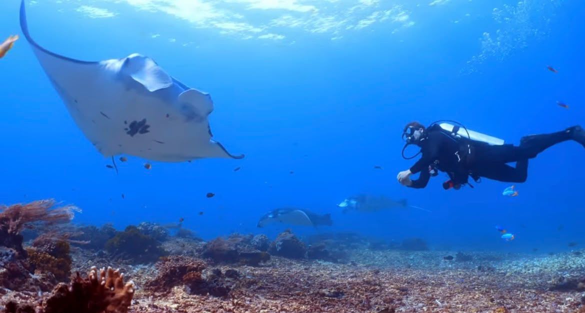Nusa Penida Manta Ray Scuba Diving — 2-Dive Trip from Bali